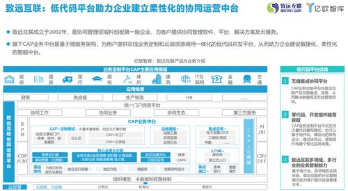 低代碼需求側(cè)去偽存真 致遠互聯(lián)定制化開發(fā)在軟件開發(fā)及運行平臺服務中的作用